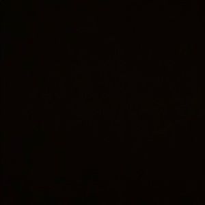 Meet your Posher, Maya